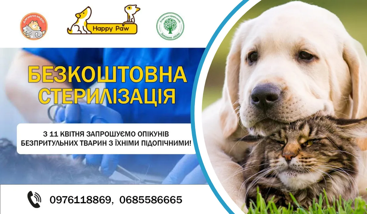без названия 1 1 png