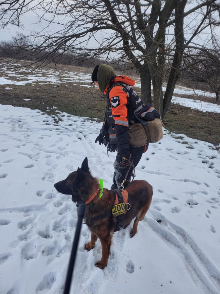 481249449 3572997596336218 8529235526532736678 n | Pavlograd District — новини Павлограда та Західного Донбасу 481249449 3572997596336218 8529235526532736678 n