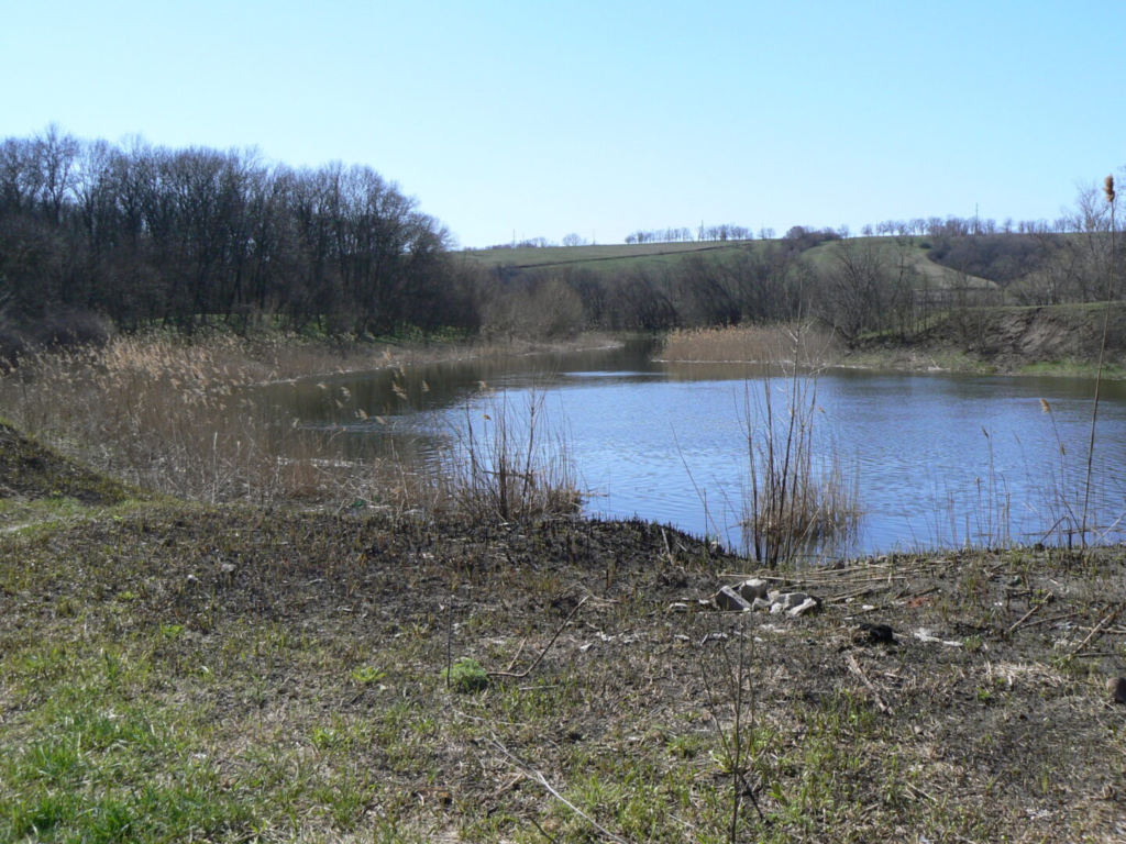 P1560591 | Pavlograd District — новини Павлограда та Західного Донбасу P1560591
