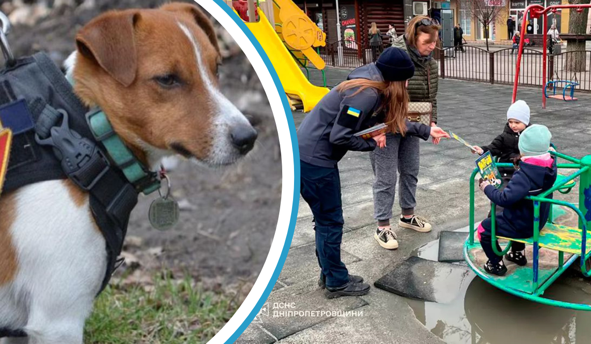 Дизайн без названия 3 1 | Pavlograd District — новини Павлограда та Західного Донбасу Дизайн без названия 3 1