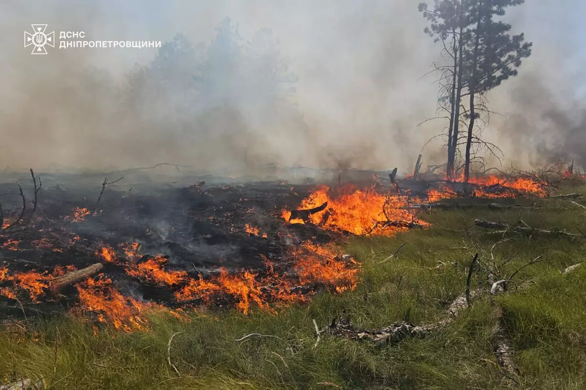 1.jpg 1 | Pavlograd District — новини Павлограда та Західного Донбасу 1.jpg 1