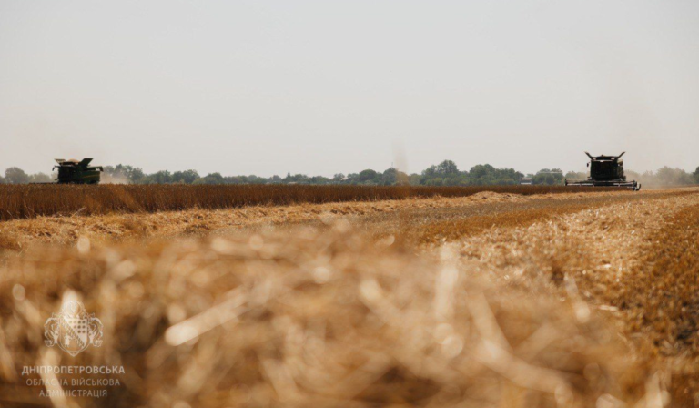 539079498 15