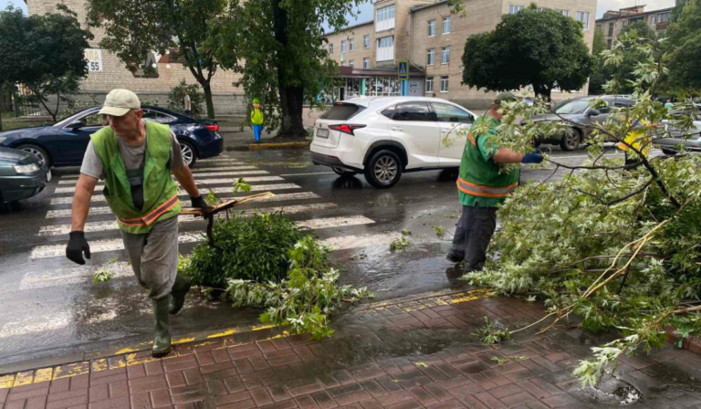 76539079498 2 1 | Pavlograd District — новини Павлограда та Західного Донбасу 76539079498 2 1