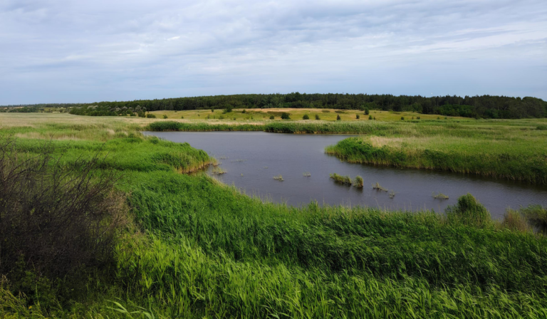 0000208574664