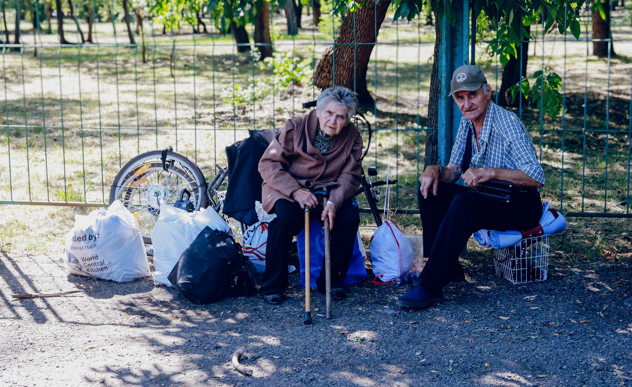 536267985 1210784421086603 1740372078270756216 n | Pavlograd District — новини Павлограда та Західного Донбасу 536267985 1210784421086603 1740372078270756216 n