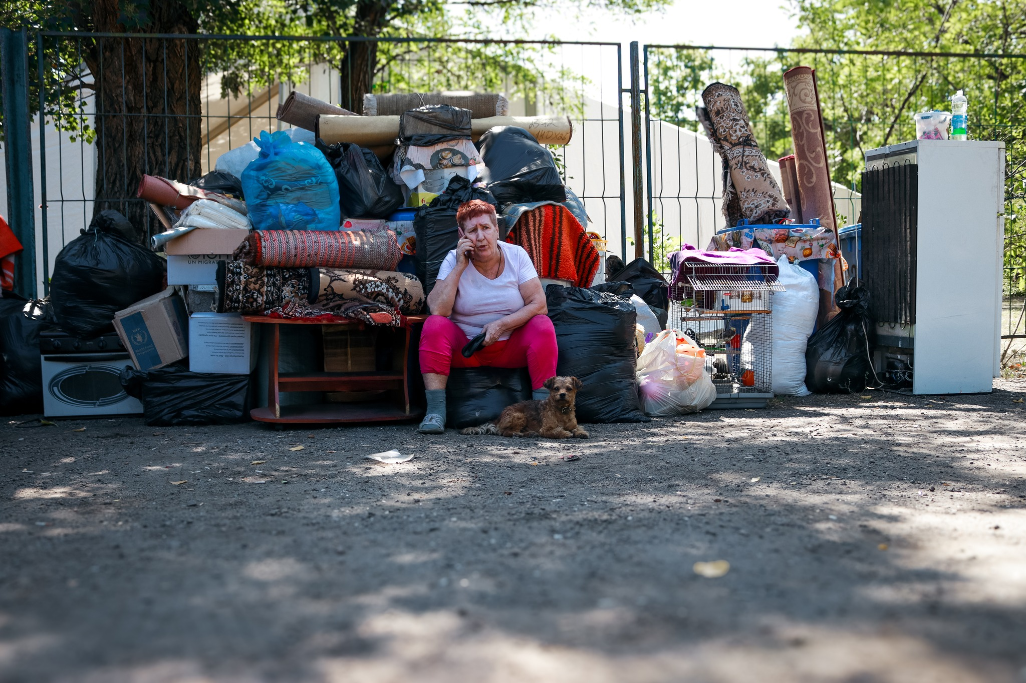 536280338 1210784747753237 1665753063774883368 n | Pavlograd District — новини Павлограда та Західного Донбасу 536280338 1210784747753237 1665753063774883368 n