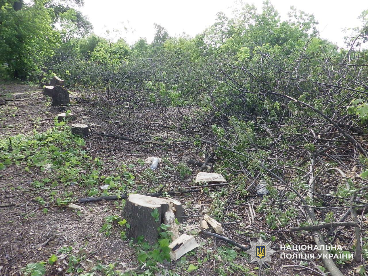 photo 2025 08 26 16 54 50 | Pavlograd District — новини Павлограда та Західного Донбасу photo 2025 08 26 16 54 50