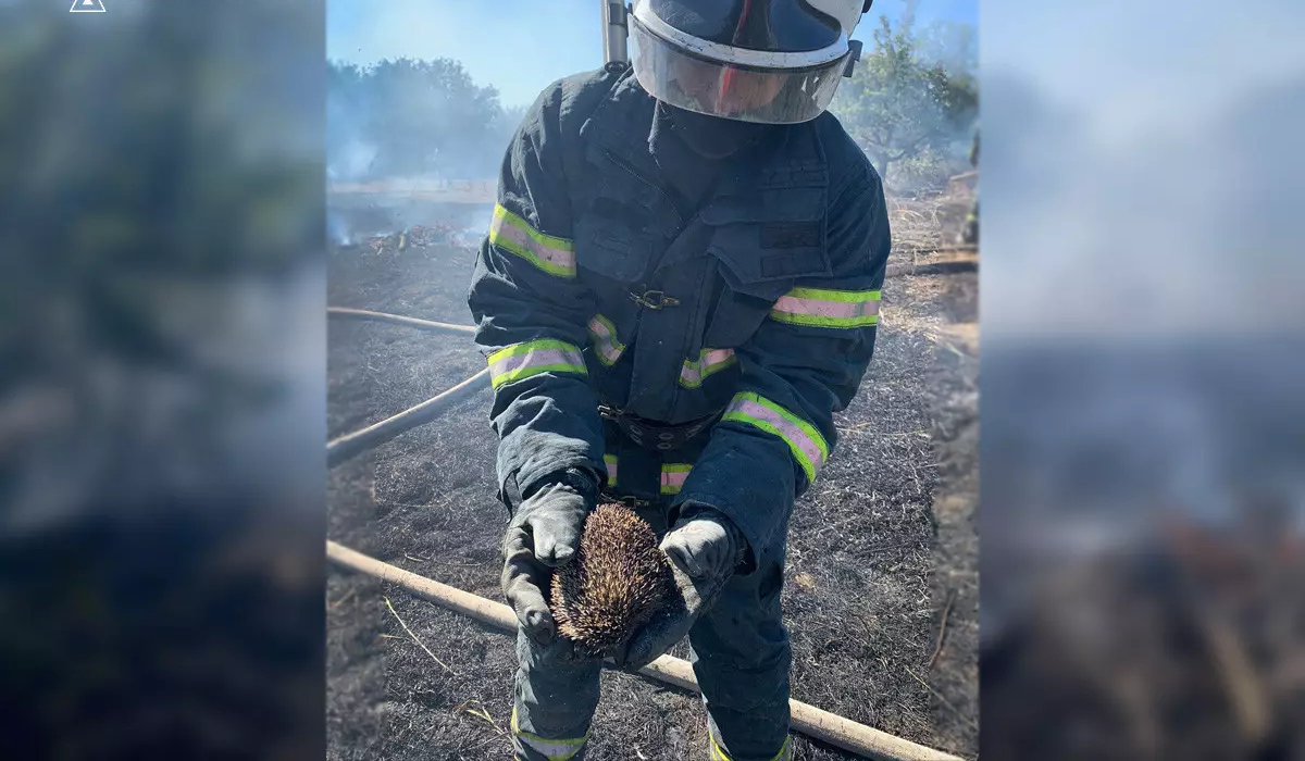 9111950781864 | Pavlograd District — новини Павлограда та Західного Донбасу 9111950781864