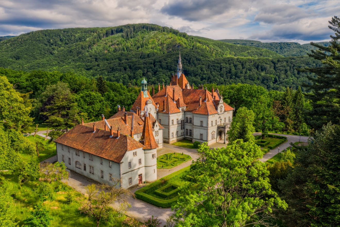 palacz shenborniv