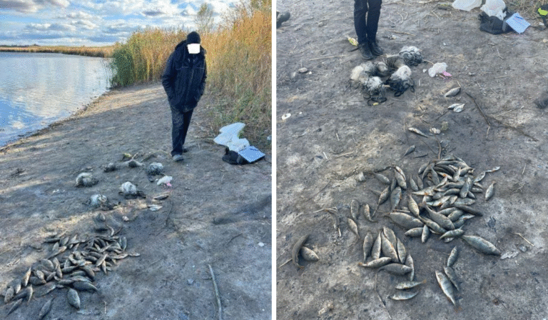 6181175151657751352123 | Pavlograd District — новини Павлограда та Західного Донбасу 6181175151657751352123