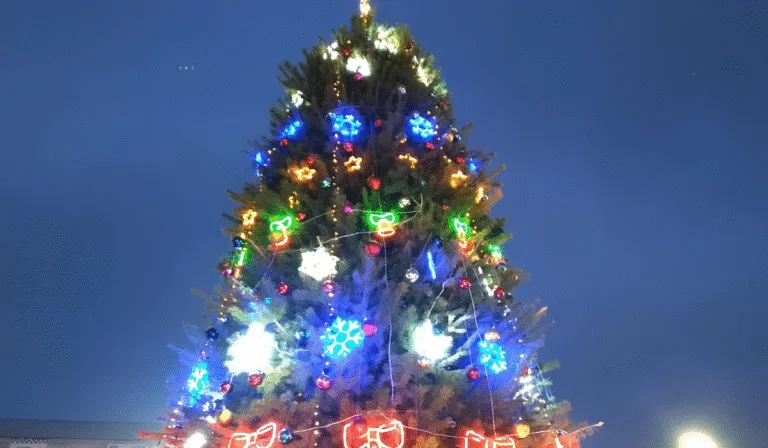 878671875888898833738355 | Pavlograd District — новини Павлограда та Західного Донбасу 878671875888898833738355