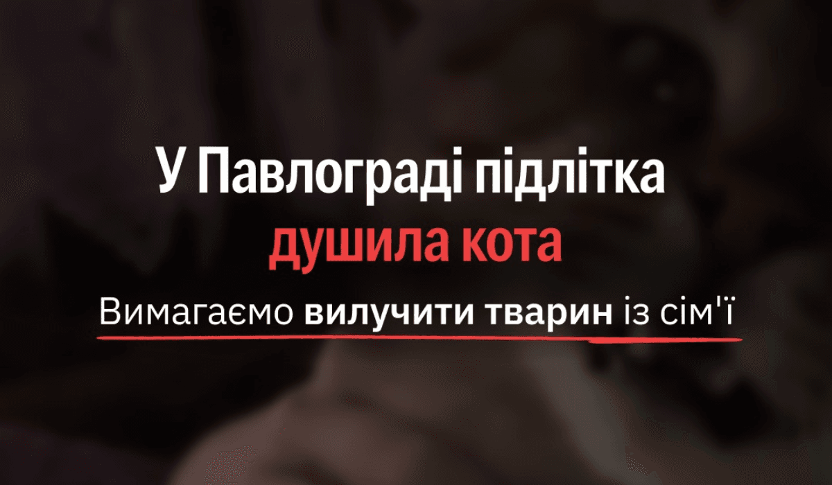 202603061 | Pavlograd District — новини Павлограда та Західного Донбасу 202603061