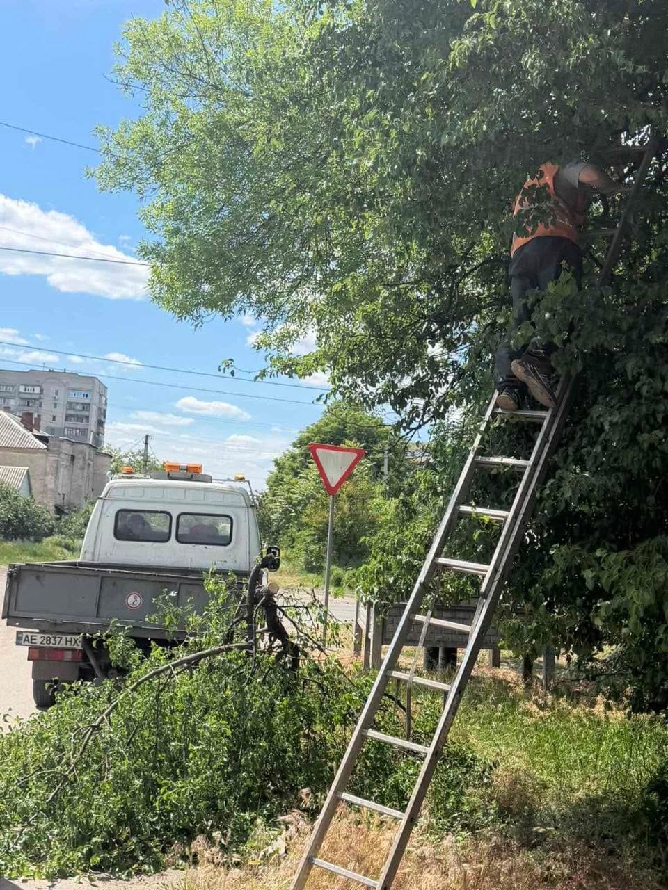716353754 1470034998472362 7952888308164118677 n | Pavlograd District — новини Павлограда та Західного Донбасу 716353754 1470034998472362 7952888308164118677 n